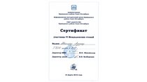 2014-2015 Авалян Арсен 8л, Менделеевские чтения 